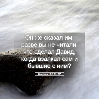 Picture 05 - Матфея 12:3 RUSV - Он же сказал им: разве вы не - Bible Verse Picture