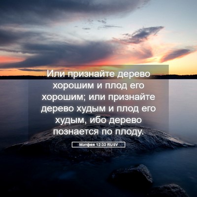 Picture 05 - Матфея 12:33 RUSV - Или признайте дерево - Bible Verse Picture