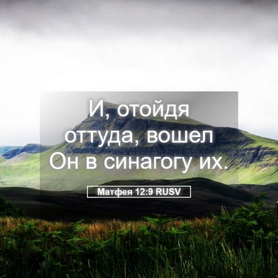Picture 05 - Матфея 12:9 RUSV - И, отойдя оттуда, вошел Он в - Bible Verse Picture