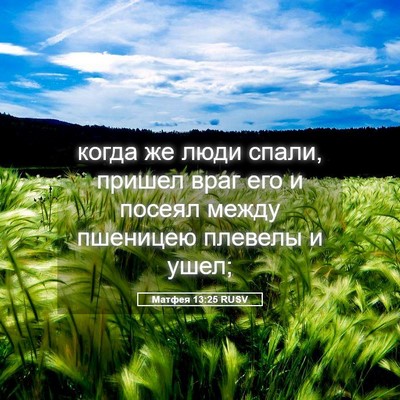 Picture 05 - Матфея 13:25 RUSV - когда же люди спали, пришел - Bible Verse Picture