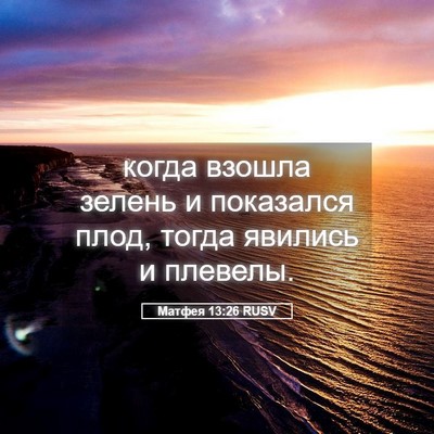 Picture 05 - Матфея 13:26 RUSV - когда взошла зелень и - Bible Verse Picture