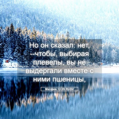 Picture 05 - Матфея 13:29 RUSV - Но он сказал: нет, --чтобы, - Bible Verse Picture