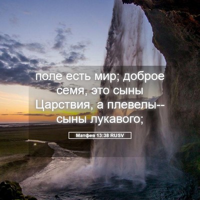 Picture 05 - Матфея 13:38 RUSV - поле есть мир; доброе семя, - Bible Verse Picture