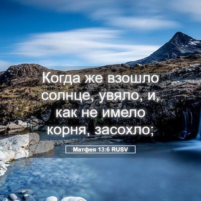 Picture 05 - Матфея 13:6 RUSV - Когда же взошло солнце, - Bible Verse Picture