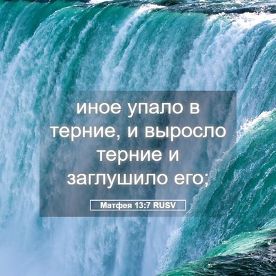 Picture 05 - Матфея 13:7 RUSV - иное упало в терние, и - Bible Verse Picture