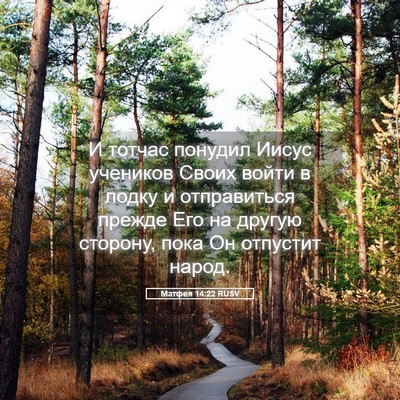 Picture 05 - Матфея 14:22 RUSV - И тотчас понудил Иисус - Bible Verse Picture