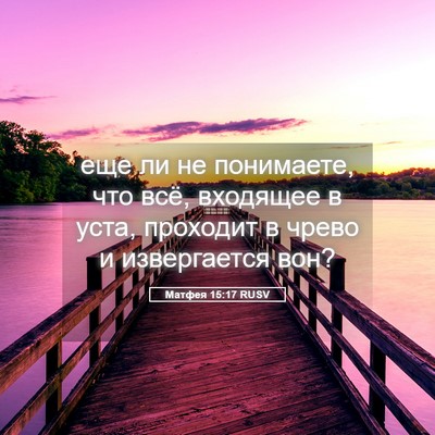 Picture 05 - Матфея 15:17 RUSV - еще ли не понимаете, что - Bible Verse Picture