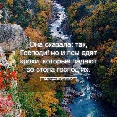 Picture 05 - Матфея 15:27 RUSV - Она сказала: так, Господи! - Bible Verse Picture