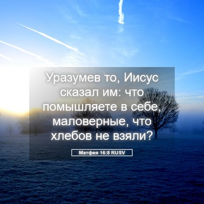 Picture 05 - Матфея 16:8 RUSV - Уразумев то, Иисус сказал - Bible Verse Picture