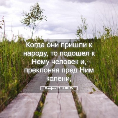 Picture 05 - Матфея 17:14 RUSV - Когда они пришли к народу, - Bible Verse Picture