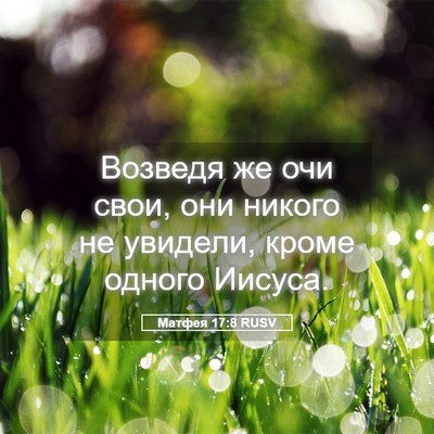 Picture 05 - Матфея 17:8 RUSV - Возведя же очи свои, они - Bible Verse Picture