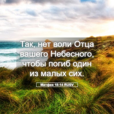 Picture 05 - Матфея 18:14 RUSV - Так, нет воли Отца вашего - Bible Verse Picture