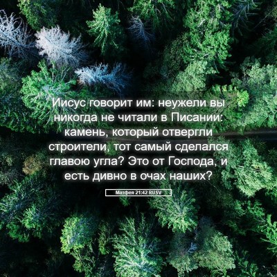Picture 05 - Матфея 21:42 RUSV - Иисус говорит им: неужели - Bible Verse Picture