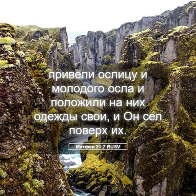 Picture 05 - Матфея 21:7 RUSV - привели ослицу и молодого - Bible Verse Picture