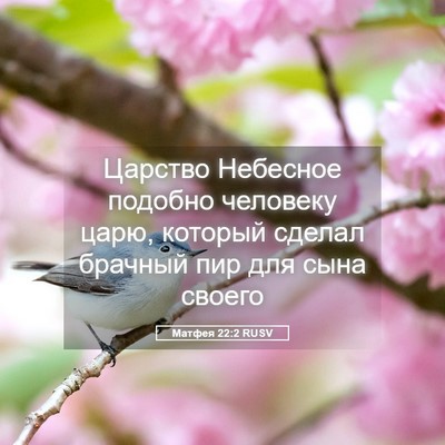 Picture 05 - Матфея 22:2 RUSV - Царство Небесное подобно - Bible Verse Picture