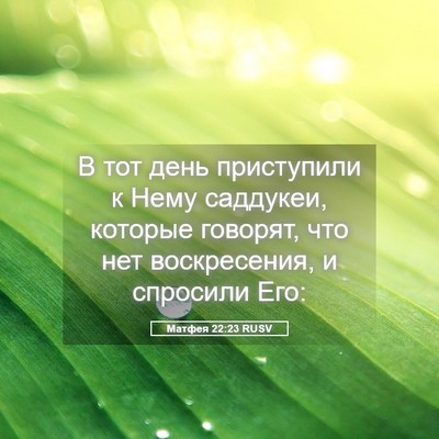 Picture 05 - Матфея 22:23 RUSV - В тот день приступили к - Bible Verse Picture