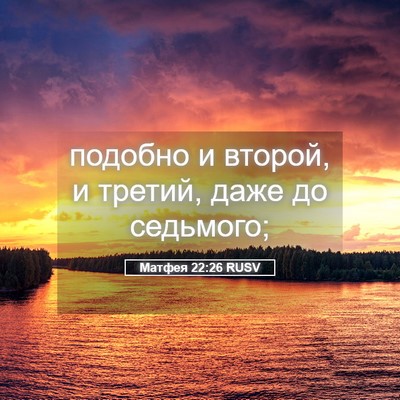 Picture 05 - Матфея 22:26 RUSV - подобно и второй, и третий, - Bible Verse Picture
