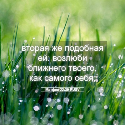 Picture 05 - Матфея 22:39 RUSV - вторая же подобная ей: - Bible Verse Picture