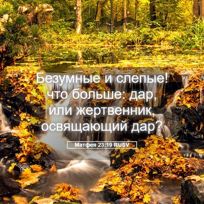Picture 05 - Матфея 23:19 RUSV - Безумные и слепые! что - Bible Verse Picture