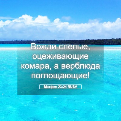 Picture 05 - Матфея 23:24 RUSV - Вожди слепые, оцеживающие - Bible Verse Picture