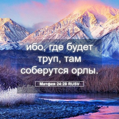 Picture 05 - Матфея 24:28 RUSV - ибо, где будет труп, там - Bible Verse Picture
