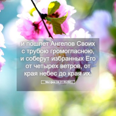 Picture 05 - Матфея 24:31 RUSV - и пошлет Ангелов Своих с - Bible Verse Picture