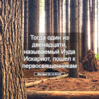 Picture 05 - Матфея 26:14 RUSV - Тогда один из двенадцати, - Bible Verse Picture