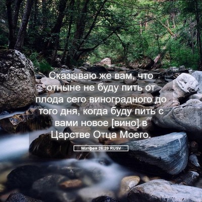 Picture 05 - Матфея 26:29 RUSV - Сказываю же вам, что отныне - Bible Verse Picture