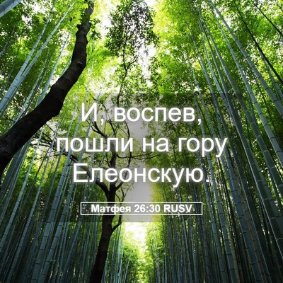 Picture 05 - Матфея 26:30 RUSV - И, воспев, пошли на гору - Bible Verse Picture