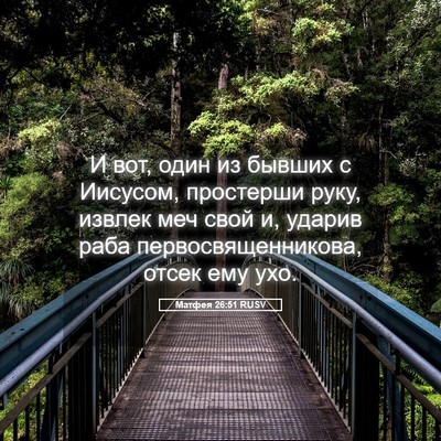 Picture 05 - Матфея 26:51 RUSV - И вот, один из бывших с - Bible Verse Picture
