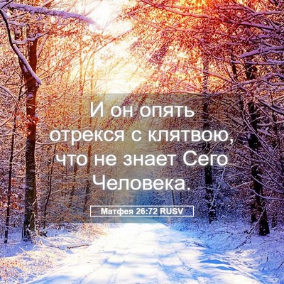 Picture 05 - Матфея 26:72 RUSV - И он опять отрекся с - Bible Verse Picture