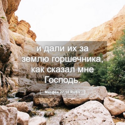 Picture 05 - Матфея 27:10 RUSV - и дали их за землю - Bible Verse Picture
