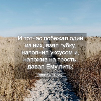 Picture 05 - Матфея 27:48 RUSV - И тотчас побежал один из - Bible Verse Picture
