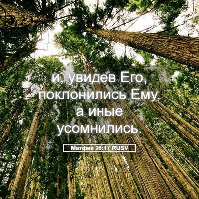 Picture 05 - Матфея 28:17 RUSV - и, увидев Его, поклонились - Bible Verse Picture