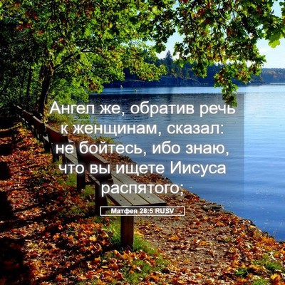 Picture 05 - Матфея 28:5 RUSV - Ангел же, обратив речь к - Bible Verse Picture