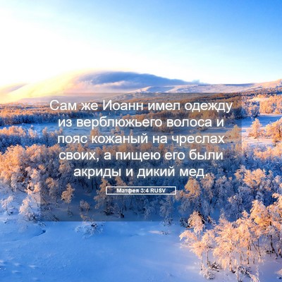 Picture 05 - Матфея 3:4 RUSV - Сам же Иоанн имел одежду из - Bible Verse Picture