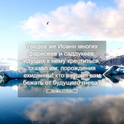 Picture 05 - Матфея 3:7 RUSV - Увидев же Иоанн многих - Bible Verse Picture