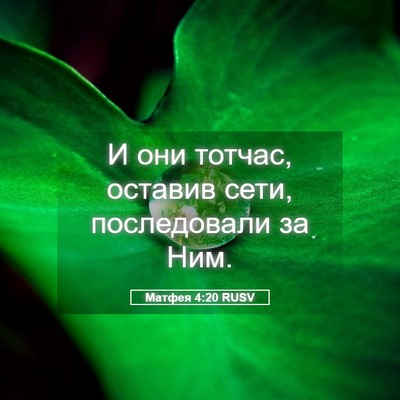 Picture 05 - Матфея 4:20 RUSV - И они тотчас, оставив сети, - Bible Verse Picture