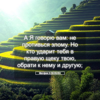 Picture 05 - Матфея 5:39 RUSV - А Я говорю вам: не - Bible Verse Picture