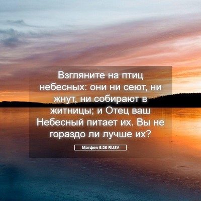 Picture 05 - Матфея 6:26 RUSV - Взгляните на птиц - Bible Verse Picture