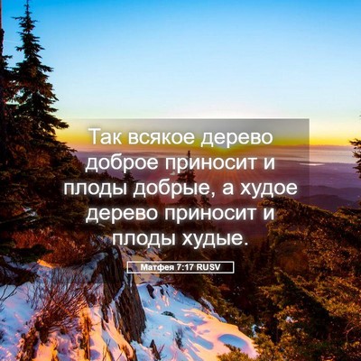 Picture 05 - Матфея 7:17 RUSV - Так всякое дерево доброе - Bible Verse Picture