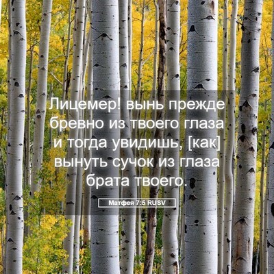 Picture 05 - Матфея 7:5 RUSV - Лицемер! вынь прежде - Bible Verse Picture