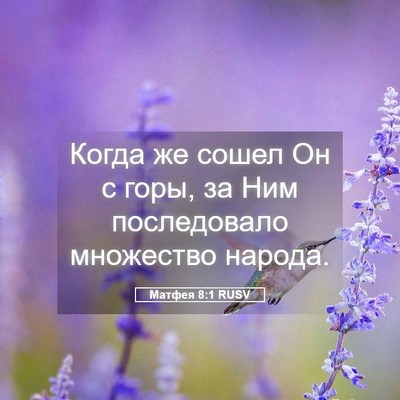 Picture 05 - Матфея 8:1 RUSV - Когда же сошел Он с горы, за - Bible Verse Picture