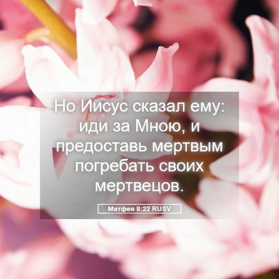 Picture 05 - Матфея 8:22 RUSV - Но Иисус сказал ему: иди за - Bible Verse Picture