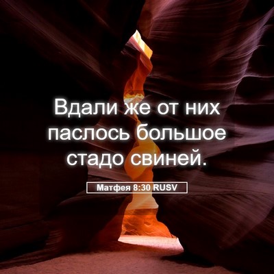 Picture 05 - Матфея 8:30 RUSV - Вдали же от них паслось - Bible Verse Picture