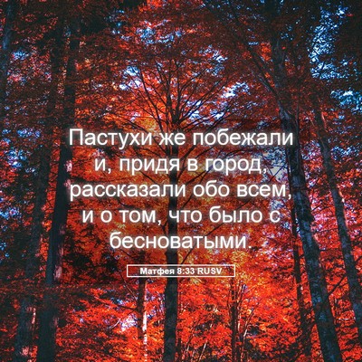 Picture 05 - Матфея 8:33 RUSV - Пастухи же побежали и, - Bible Verse Picture