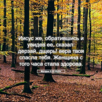 Picture 05 - Матфея 9:22 RUSV - Иисус же, обратившись и - Bible Verse Picture