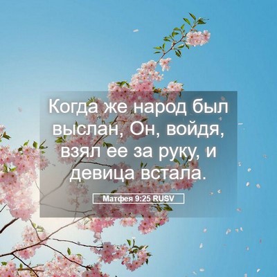 Picture 05 - Матфея 9:25 RUSV - Когда же народ был выслан, - Bible Verse Picture