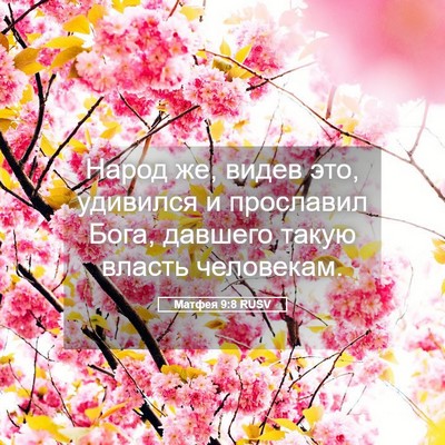 Picture 05 - Матфея 9:8 RUSV - Народ же, видев это, - Bible Verse Picture