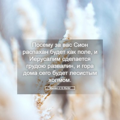 Picture 05 - Михей 3:12 RUSV - Посему за вас Сион - Bible Verse Picture